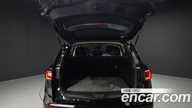 Renault Korea QM6 Gasoline 2WD RE Signature 2019 — фото 20