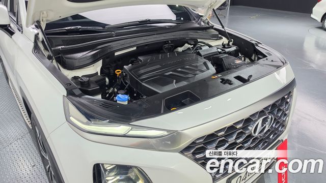 Hyundai Santa Fe (TM) Diesel 2.2 2WD Prestige 2019 — фото 6