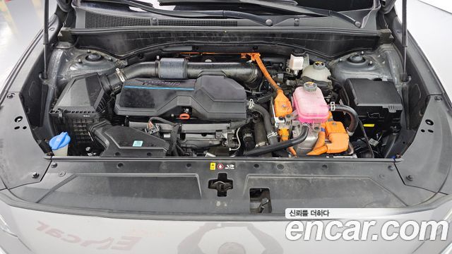 Hyundai Santa Fe HEV 1.6 2WD Prestige 2022 — фото 6