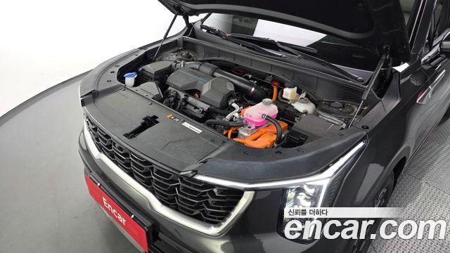 Kia Sorento (IV) HEV 1.6 2WD Noblesse 2025 — фото 6