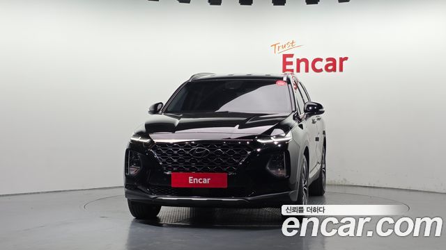 Hyundai Santa Fe (TM) Diesel 2.0 2WD Prestige 2019 — фото 3