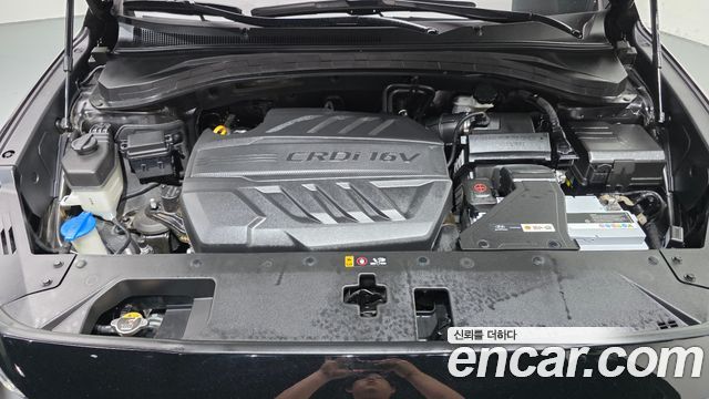 Hyundai Santa Fe (TM) Diesel 2.0 2WD Prestige 2019 — фото 6
