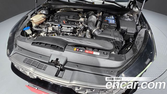 Kia K5 (III) 1.6 Turbo Noblesse 2021 — фото 6