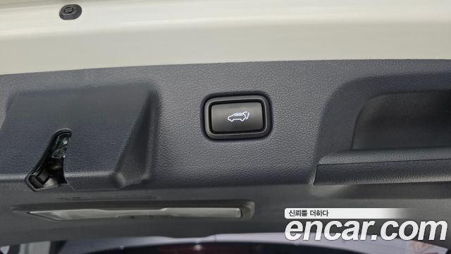 Hyundai Palisade Diesel 2.2 4WD Prestige 2019 — фото 20
