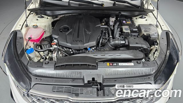 Kia K5 (III) 2.0 Noblesse 2023 — фото 6