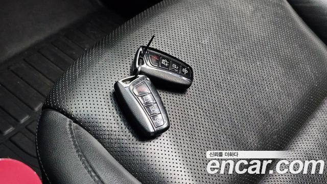 Hyundai Santa Fe (DM) Diesel(e-VGT) 2.0 2WD Exclusive Special 2015 — фото 18