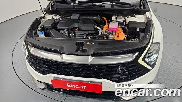 Kia Sportage Hybrid (V) Signature 2WD 2024 — фото 6