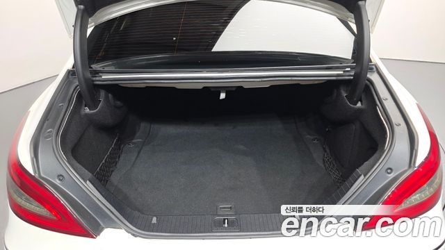 Mercedes-Benz CLS-Class (W218) CLS350 BlueEFFICIENCY 2013 — фото 19