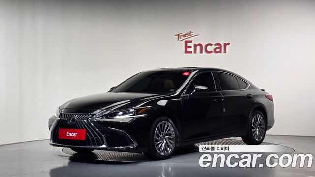 Lexus ES300h (VII) Executive