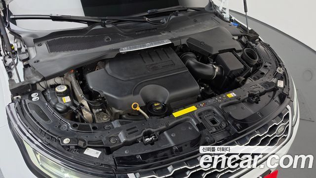 Land Rover Range Rover Evoque (II) P250 SE 2020 — фото 6