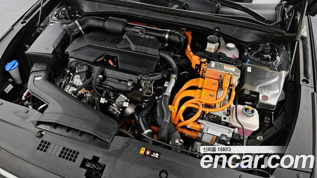 Kia K8 Hybrid Signature 2025 — фото 6