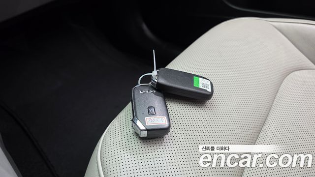 Kia Niro EV Earth 2023 — фото 16