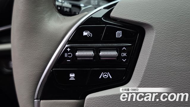Kia Niro EV Earth 2023 — фото 17