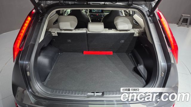 Kia Niro EV Earth 2023 — фото 20