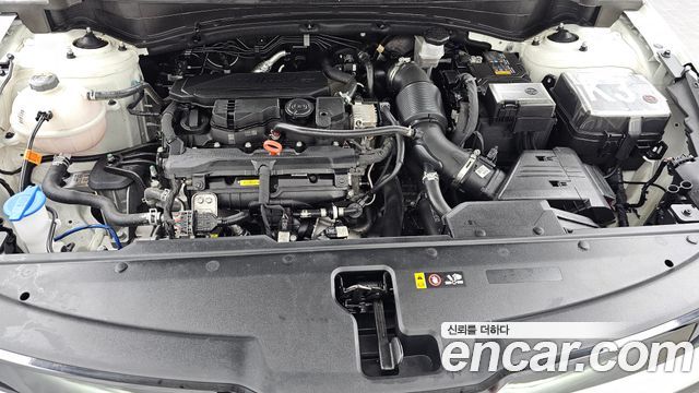 Kia Sportage (V) Gasoline 1.6 Turbo 2WD Noblesse 2025 — фото 6