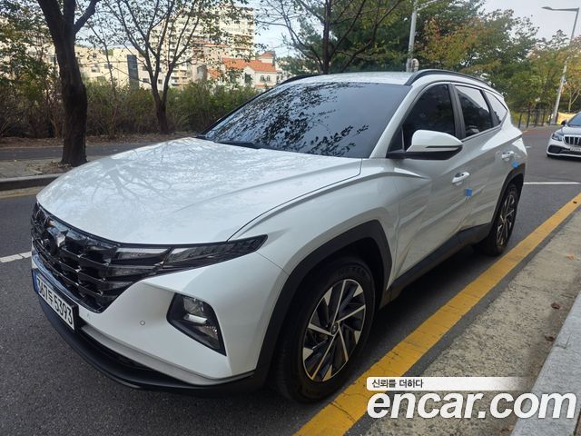 Hyundai Tucson (NX4) Diesel 2.0 2WD Premium