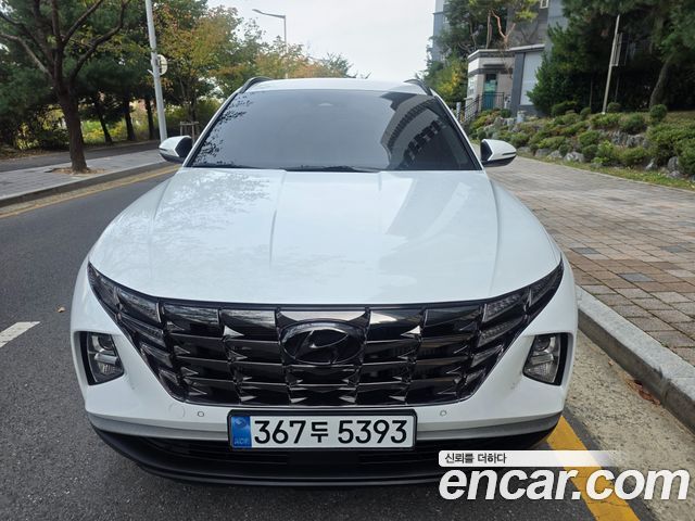 Hyundai Tucson (NX4) Diesel 2.0 2WD Premium 2023 — фото 2