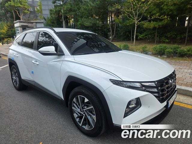 Hyundai Tucson (NX4) Diesel 2.0 2WD Premium 2023 — фото 3
