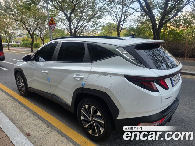Hyundai Tucson (NX4) Diesel 2.0 2WD Premium 2023 — фото 4