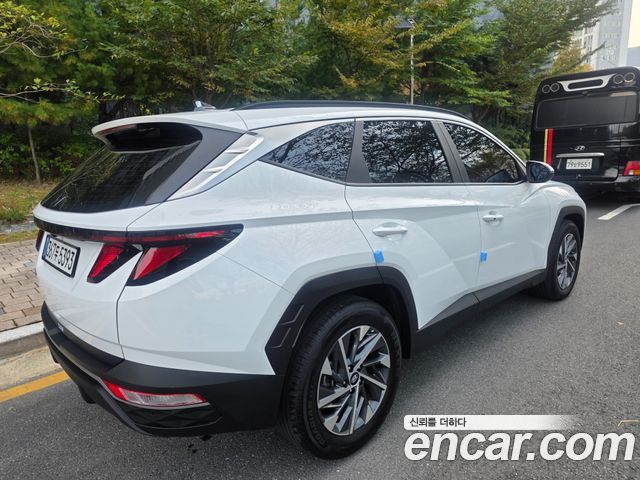 Hyundai Tucson (NX4) Diesel 2.0 2WD Premium 2023 — фото 5