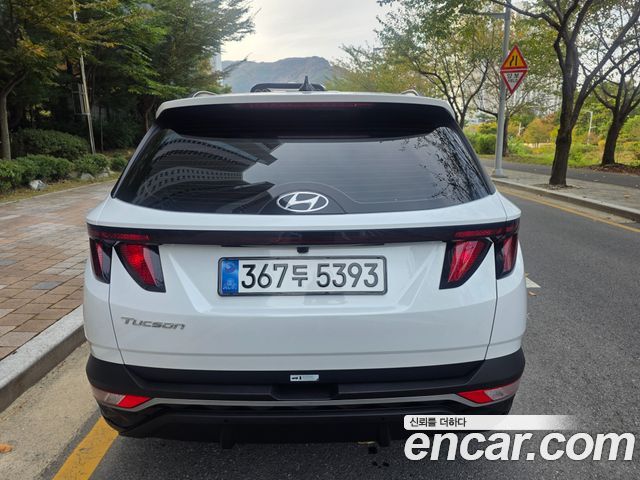 Hyundai Tucson (NX4) Diesel 2.0 2WD Premium 2023 — фото 6