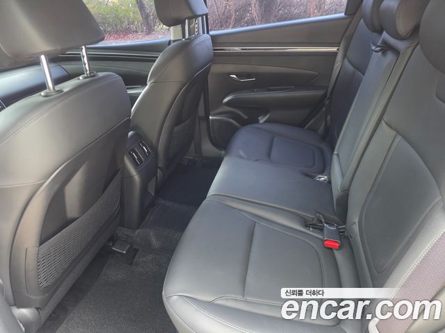 Hyundai Tucson (NX4) Diesel 2.0 2WD Premium 2023 — фото 15