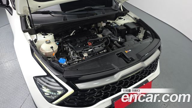 Kia Sportage (V) Gasoline 1.6 Turbo 2WD Nobleless Gravity 2023 — фото 6