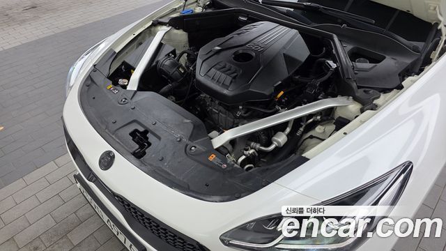 Kia Stinger 2.0 Turbo 2WD Platinum 2020 — фото 6