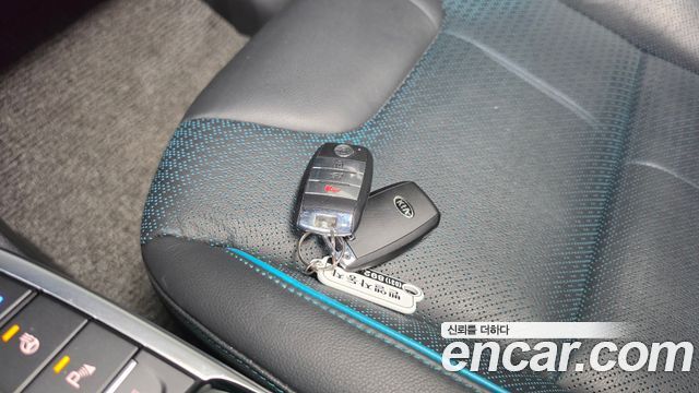 Kia Niro EV Noblesse 2019 — фото 15
