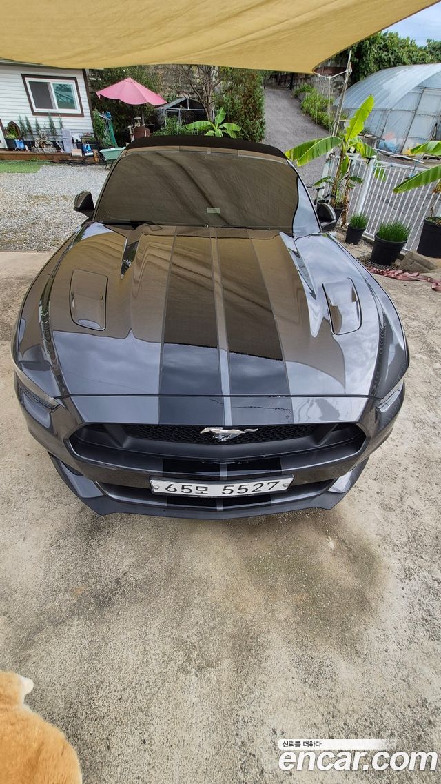 Ford Mustang GT Convertible