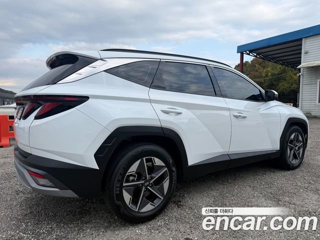 Hyundai Tucson (NX4) Diesel 2.0 2WD Premium 2024 — фото 2