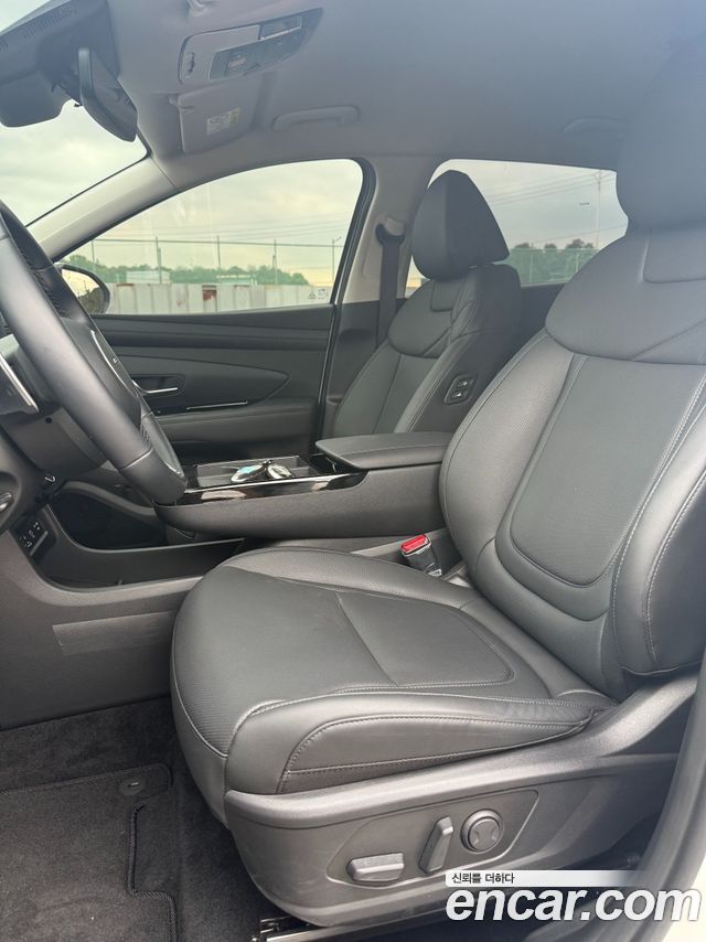 Hyundai Tucson (NX4) Diesel 2.0 2WD Premium 2024 — фото 10