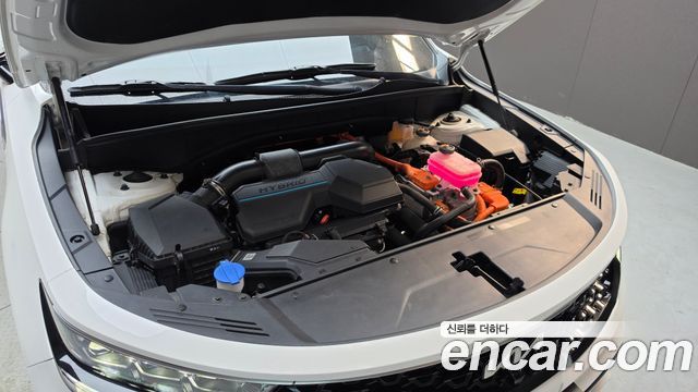 Kia Sorento (IV) HEV 1.6 2WD Noblesse 2023 — фото 6