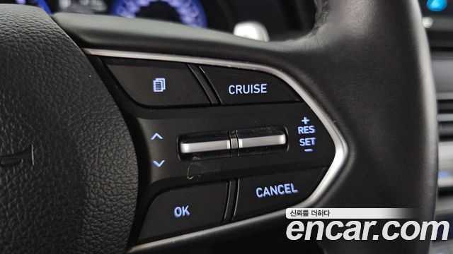 Hyundai Palisade Gasoline 3.8 2WD Exclusive 2020 — фото 29