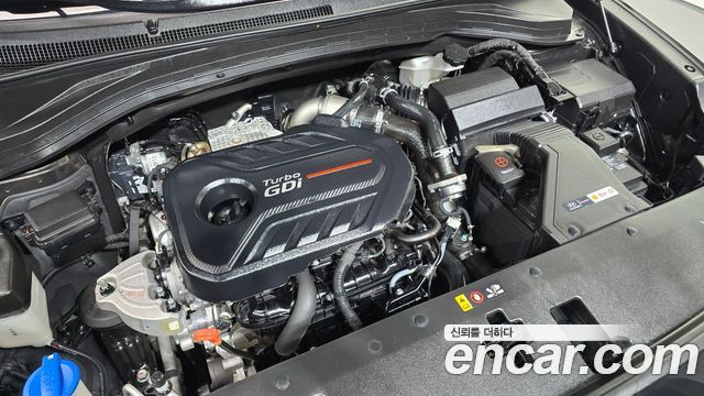 Hyundai Santa Fe (TM) Gasoline 2.0T 2WD Prestige 2020 — фото 6