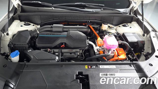 Kia Sorento (IV) HEV 1.6 2WD Noblesse 2024 — фото 6