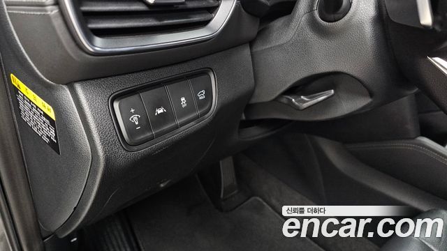 Hyundai Santa Fe (TM) Diesel 2.0 2WD Prestige 2020 — фото 19