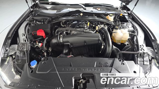 Ford Mustang (VII) 2.3 Ecoboost Premium Convertible 2024 — фото 6