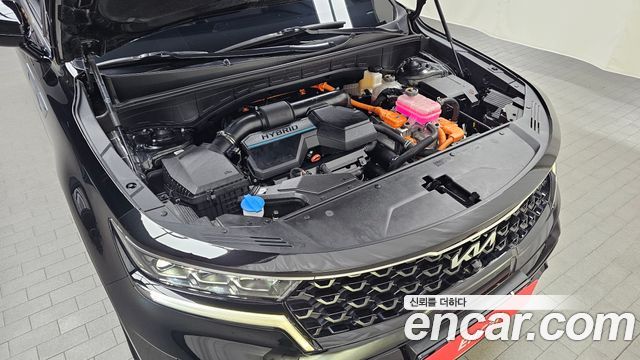 Kia Sorento (IV) HEV 1.6 2WD Noblesse 2023 — фото 6