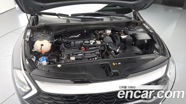 Kia Sportage (V) Gasoline 1.6 Turbo 2WD Trendy 2022 — фото 6