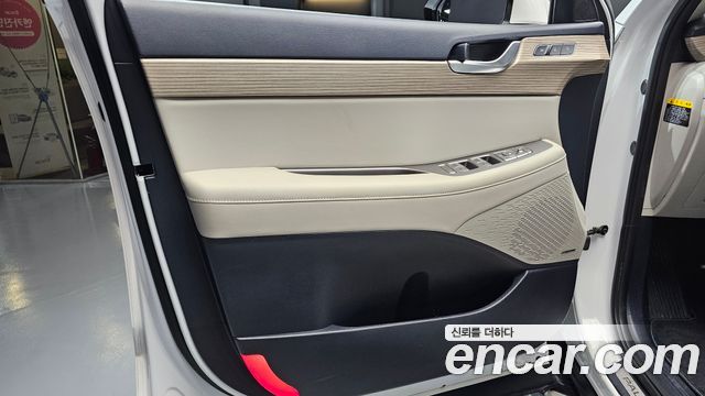 Hyundai Palisade Gasoline 3.8 4WD Prestige 2019 — фото 24