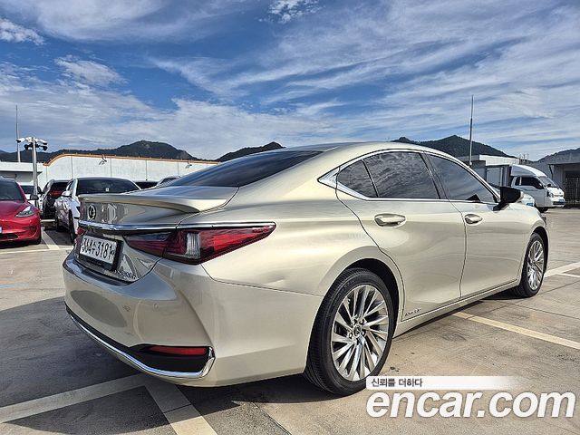 Lexus ES300h (VII) Luxury Plus 2019 — фото 6