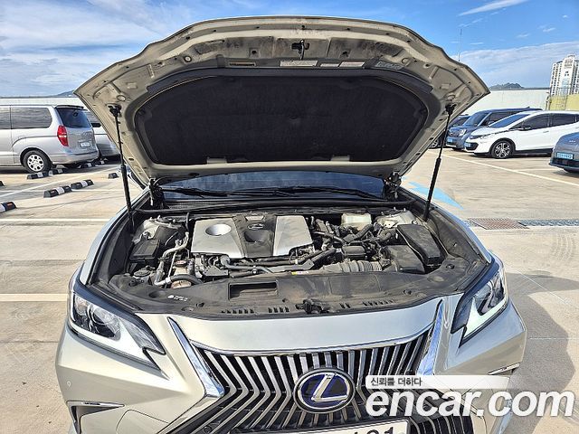 Lexus ES300h (VII) Luxury Plus 2019 — фото 15