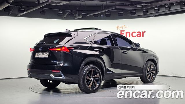 Lexus NX300h Executive 2019 — фото 2