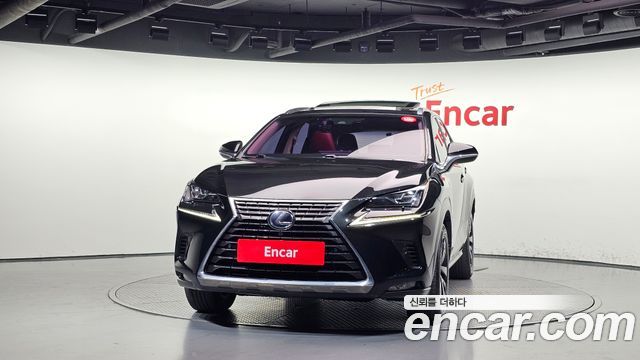 Lexus NX300h Executive 2019 — фото 3