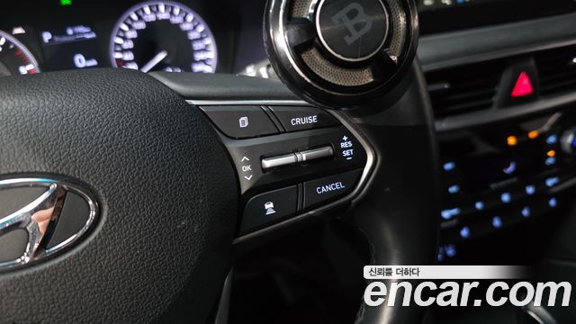 Hyundai Santa Fe (TM) Diesel 2.0 2WD Exclusive 2020 — фото 34