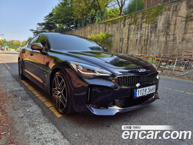 Kia Stinger Meister 2.5 Masters 2021 — фото 3