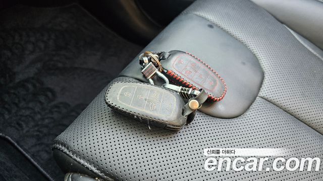 Hyundai Santa Fe Diesel 2.2 2WD Exclusive 2022 — фото 19