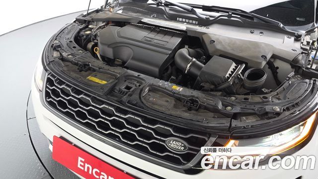 Land Rover Range Rover Evoque (II) P250 R-Dynamic SE 2022 — фото 6