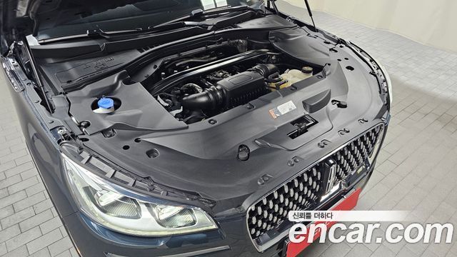 Lincoln Aviator (II) 3.0 Black Label AWD 2020 — фото 6